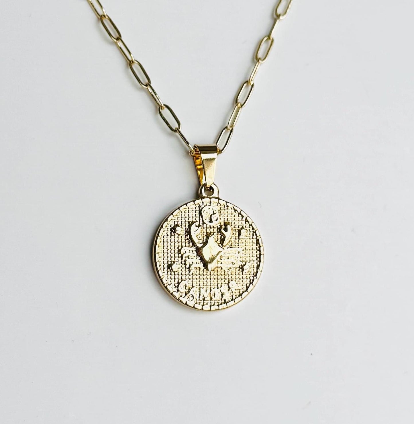 Zodiac Coin Pendant Necklace – Personalized Astrology Jewelry, Custom Star Sign Charm, Gift for Her