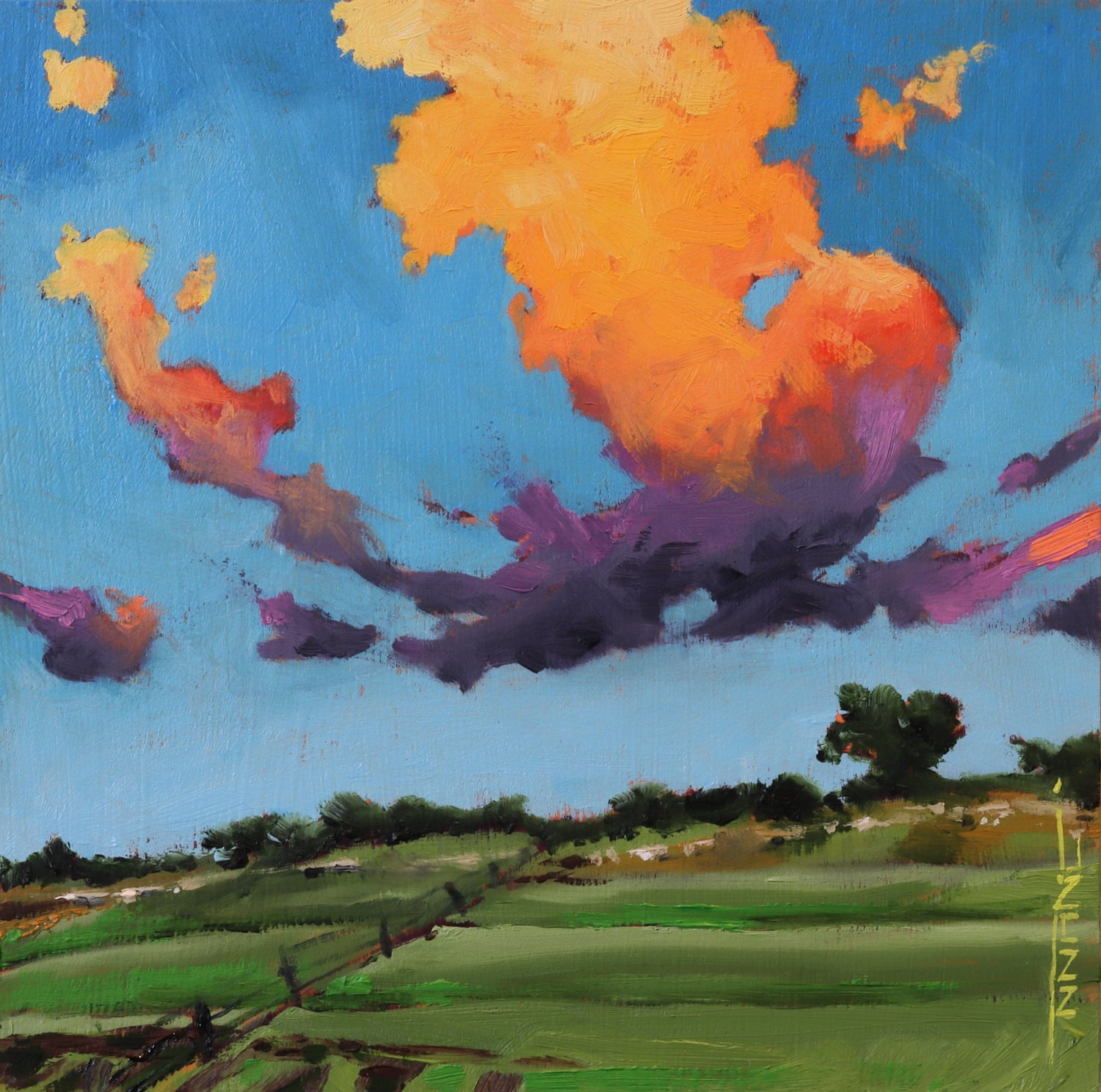 Fine Art Prints
