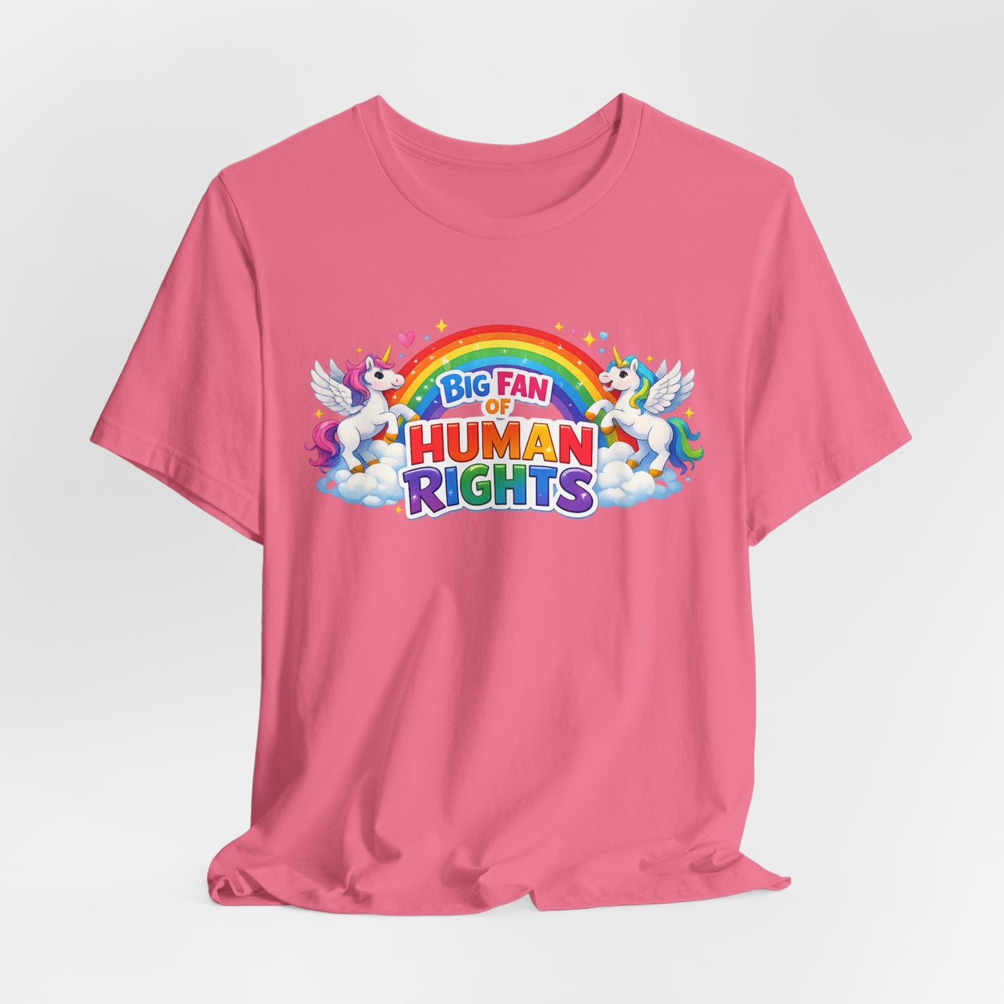 Big Fan of Human Rights T-Shirt, Rainbow Unicorns Humanity Shirt, Pride Shirt