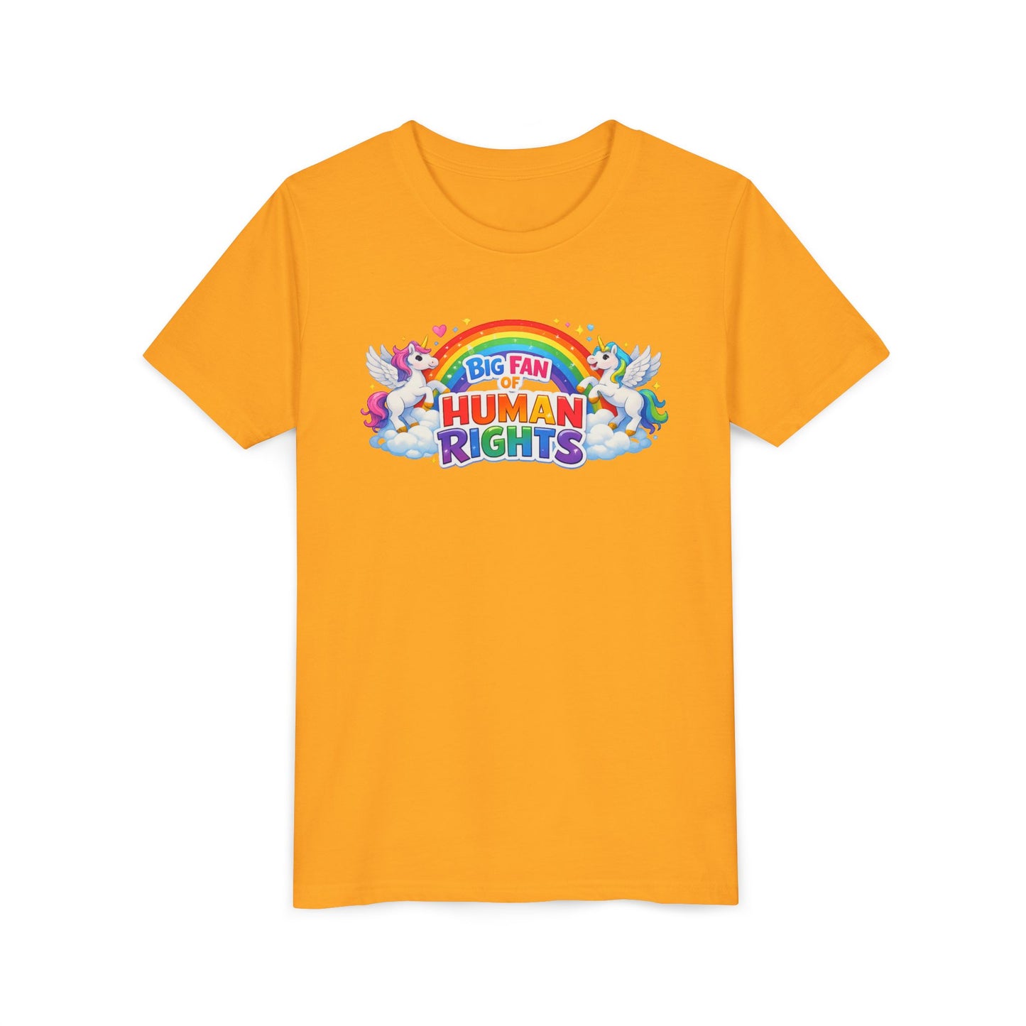Big Fan of Human Rights T-Shirt, Kids Human Rights Shirt, Rainbow Unicorns Humanity Shirt