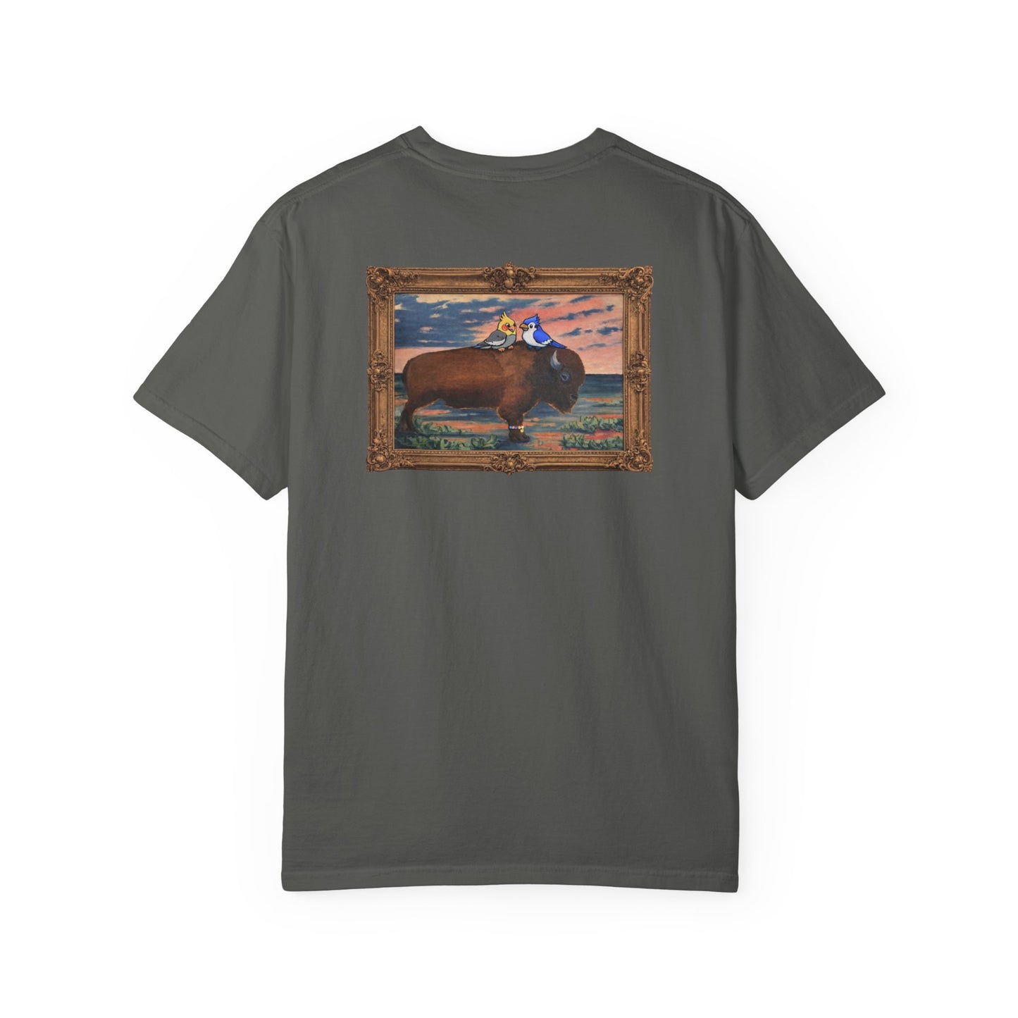 Buffalo and Birds T- Shirt: Bison Graphic Tee, Funny Graphic T-Shirt, Bird Shirt