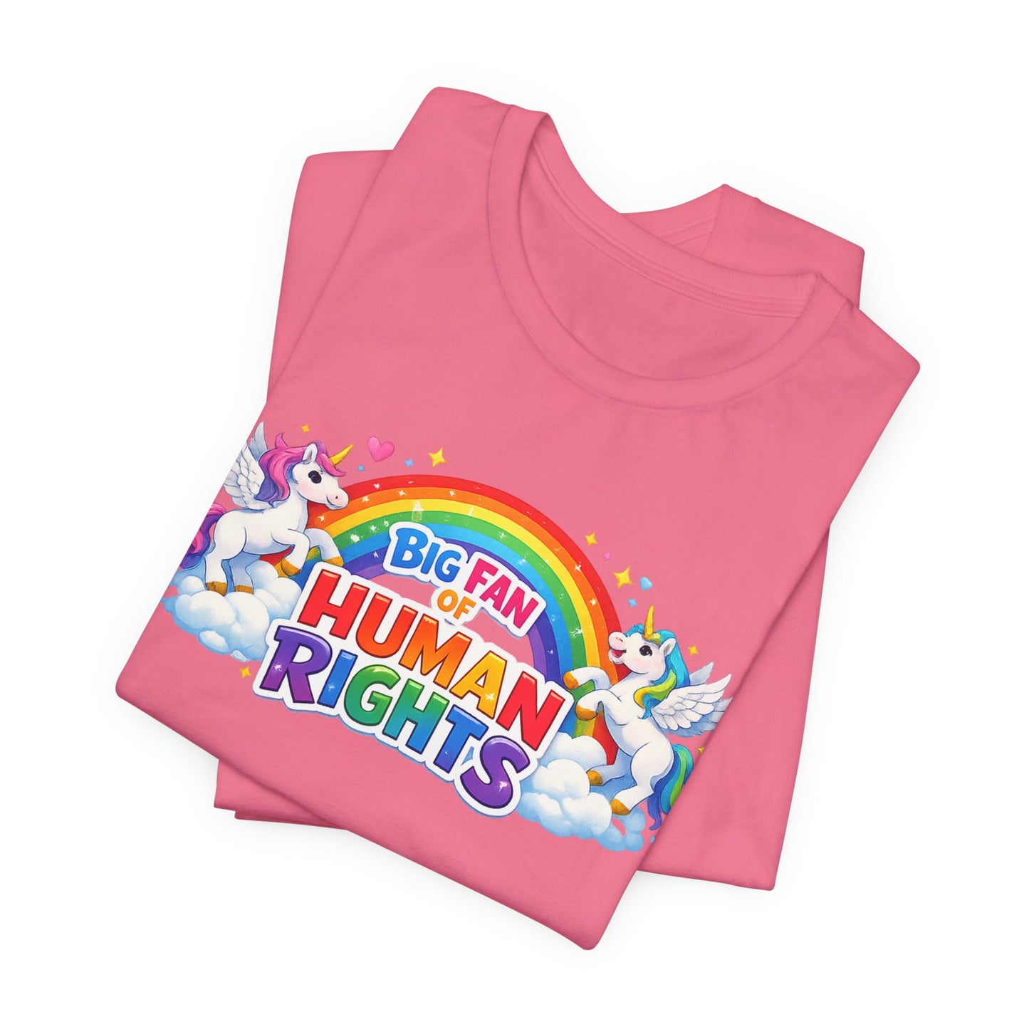 Big Fan of Human Rights T-Shirt, Rainbow Unicorns Humanity Shirt, Pride Shirt
