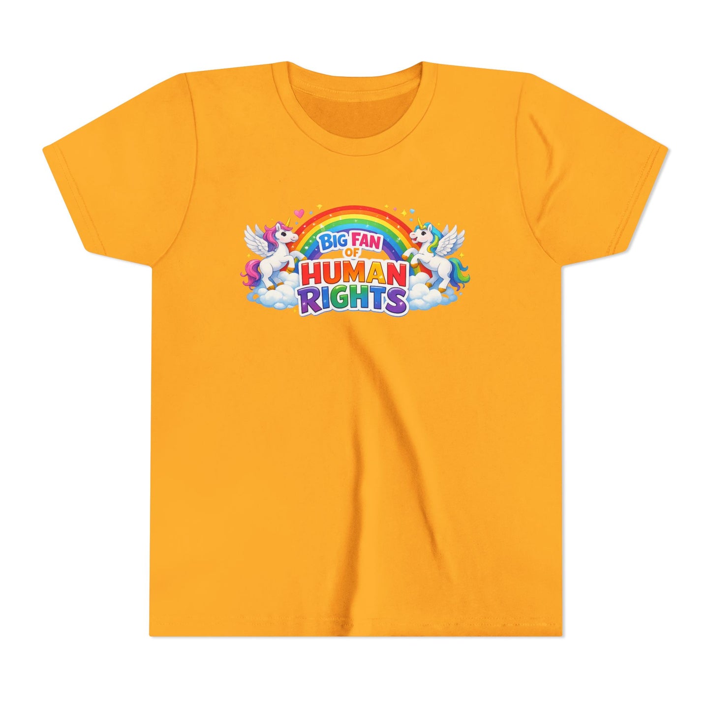 Big Fan of Human Rights T-Shirt, Kids Human Rights Shirt, Rainbow Unicorns Humanity Shirt