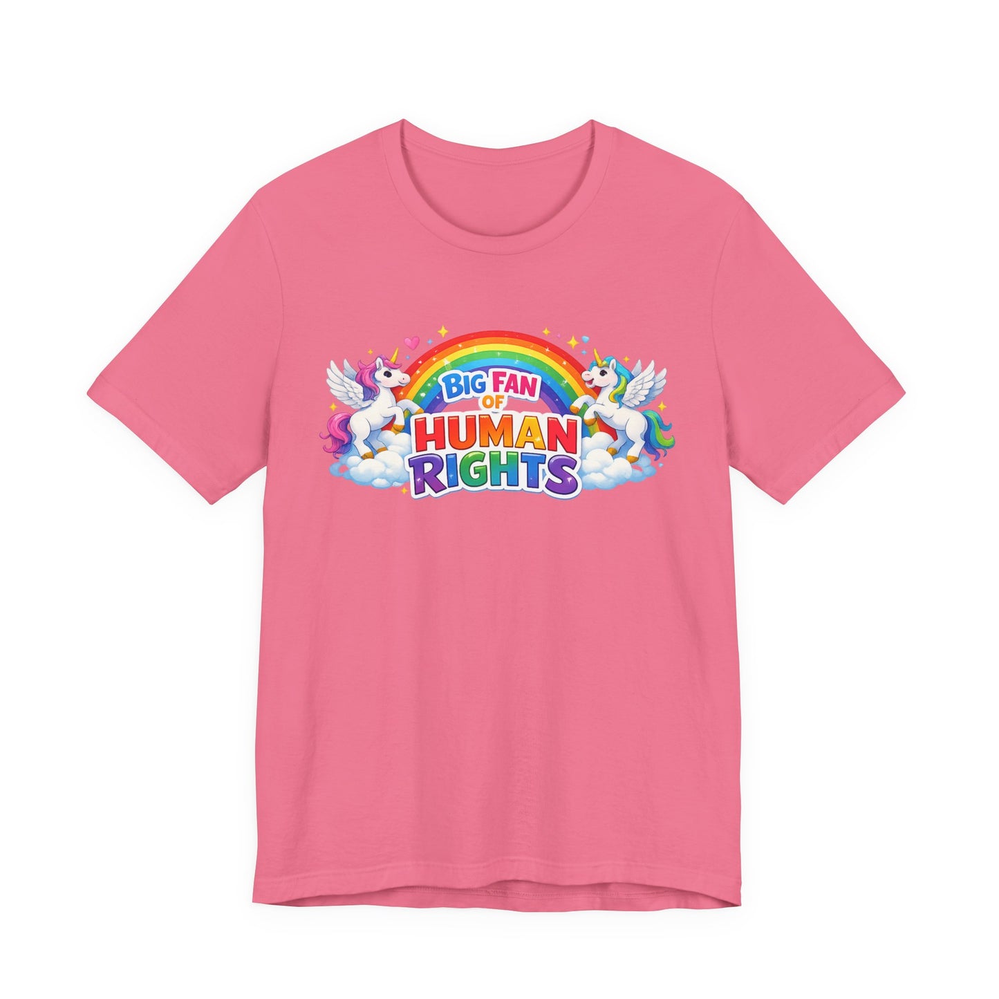 Big Fan of Human Rights T-Shirt, Rainbow Unicorns Humanity Shirt, Pride Shirt