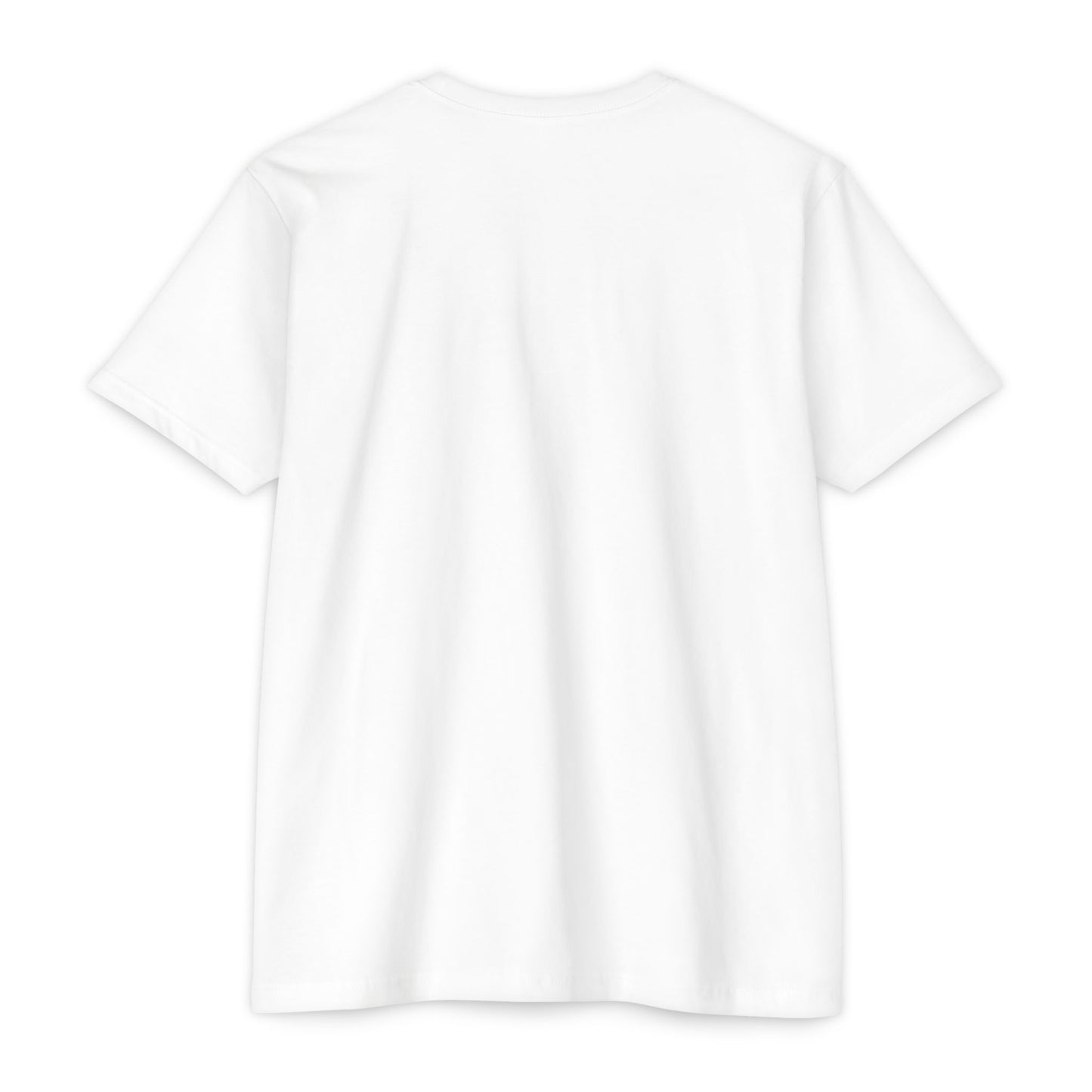 Manifest Sunset Block Text T-Shirt, Manifest Graphic Tee, Positive Affirmation Top