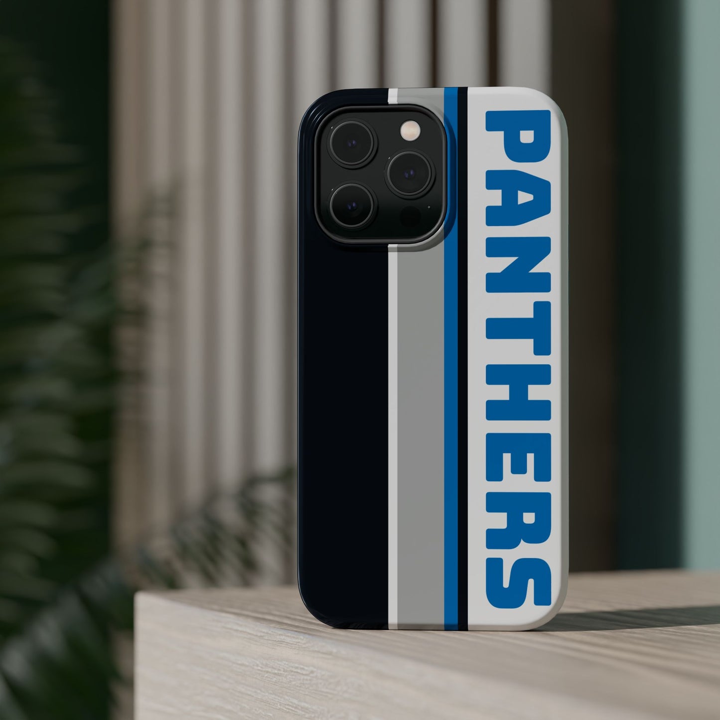 Panthers Phone Case, Magnetic Phone Case, Retro Phone Case, Football Gifts
